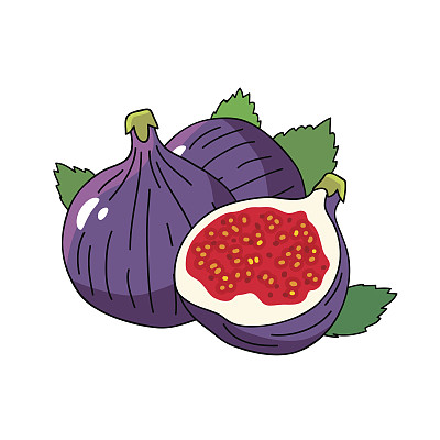 带叶子的甜无花果的果实图片下载