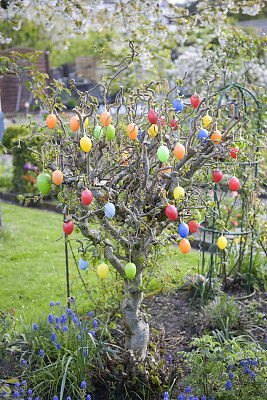 复活节彩蛋在树上图片下载