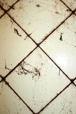 瓷砖上有真菌图片下载