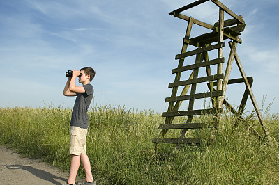 男孩看田野图片下载