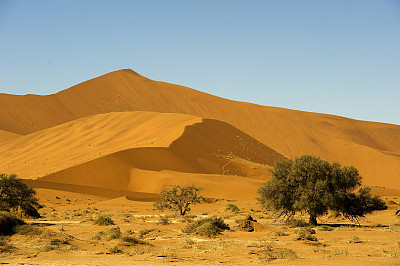 纳米比亚纳米布Naukluft国家公园的大爹地沙丘图片下载