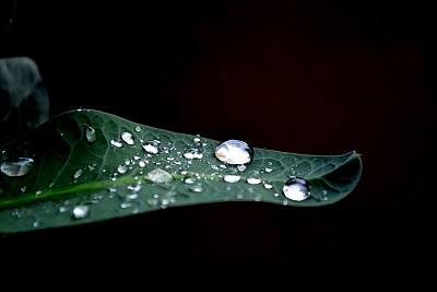 水晶雨图片下载