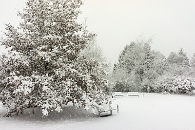 汉诺威冬日街景图片下载
