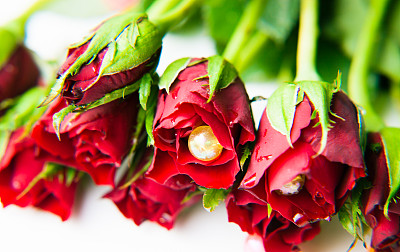 玫瑰和珠子图片下载