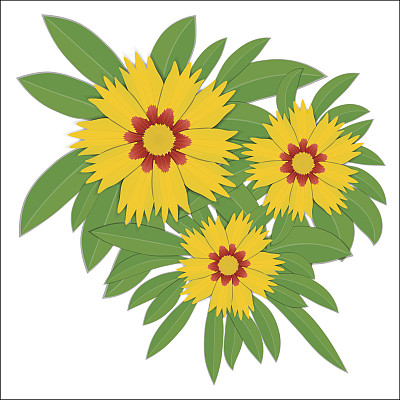 桔梗黄花。矢量图图片下载