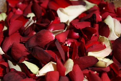 百花香图片下载