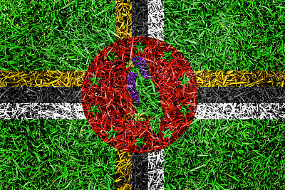 多米尼加旗颜色草纹理背景图片下载