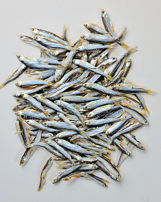 干燥、鳕鱼、鱼图片下载