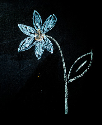 黑板上的花图片下载