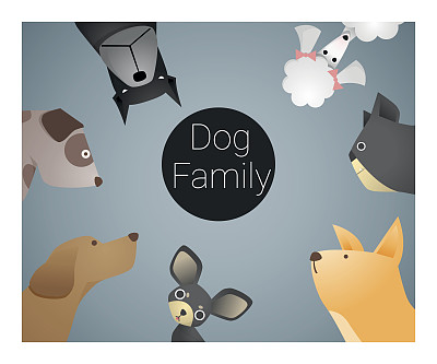 狗的动物背景图片下载