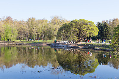 公园里的早春图片下载