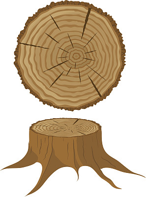 树和树桩的横截面图片下载