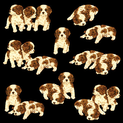 狗插图图片下载