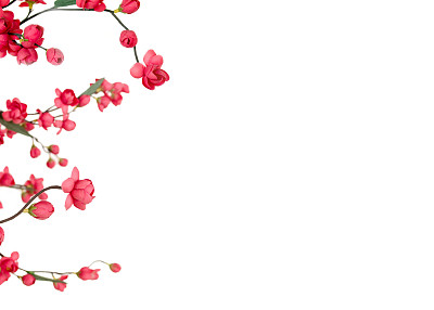 日本樱花图片下载