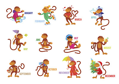 有趣的猴子被孤立在白色背景上图片下载