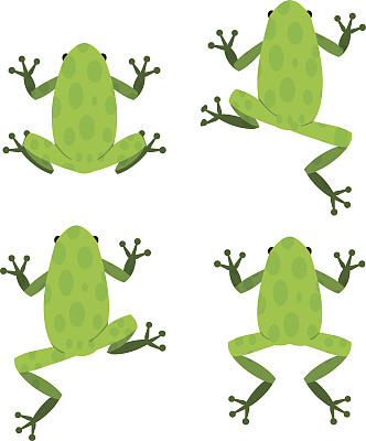 一套绿色青蛙在平坦风格与图案图片下载