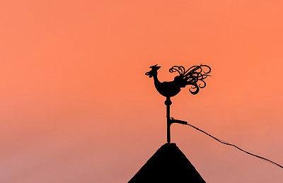 惠特科克图片下载