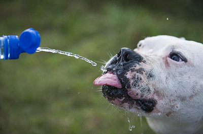 饮用水图片下载