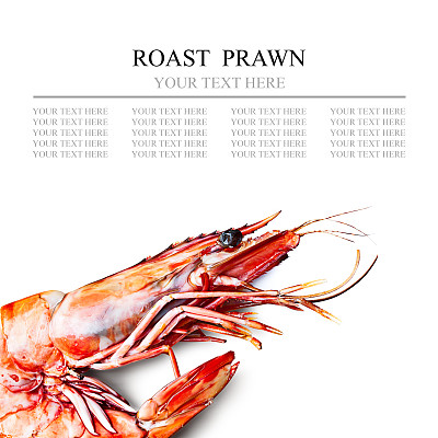 老虎虾图片下载