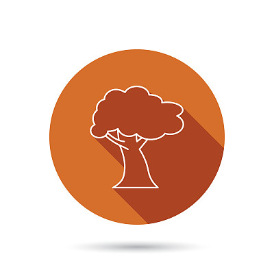 橡树图标。森林木的迹象。图片下载