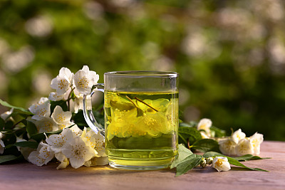 花园里的茉莉花茶图片下载