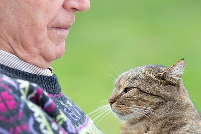 老人和猫图片下载