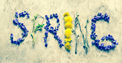 字春从花/调色照片图片下载