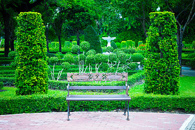在正式的花园中两丛灌木之间的旧长凳图片下载