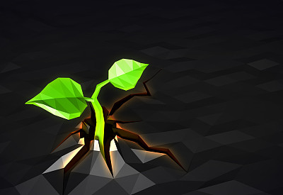 萌苗已经成长通过沥青，低聚图片下载