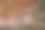 墙上的树干图片下载