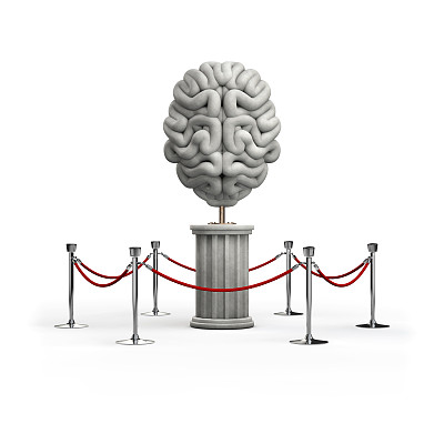 大脑的展览图片下载