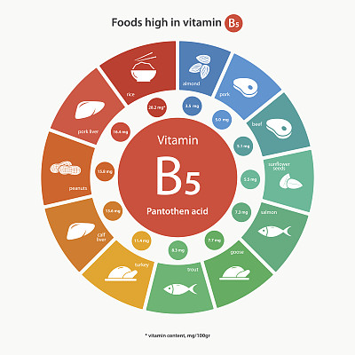 富含维生素的食物。图片下载