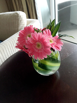 花瓶里有一朵粉红色的花图片下载