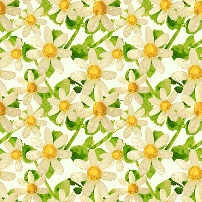 用颜料手绘的洋甘菊和绿叶在绿色的背景上图片下载