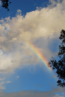 雨后天空有彩虹。图片下载