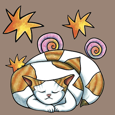 睡觉的猫图片下载