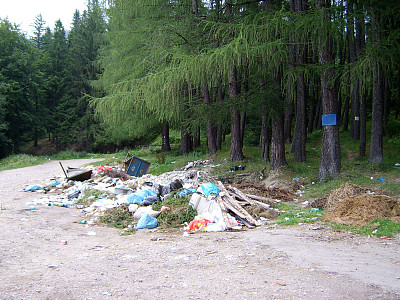 森林污染图片下载