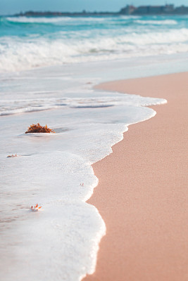 沙滩上美丽的低浪图片下载