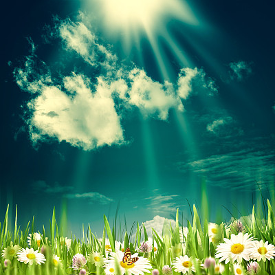 抽象的自然背景与美丽的雏菊花和小山图片下载