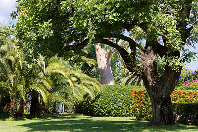 夏季地中海城市公园图片下载
