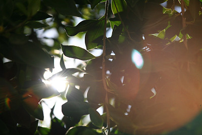 太阳耀斑图片下载