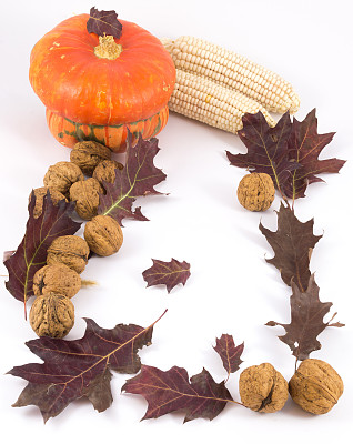 白色背景上的秋天作文图片下载