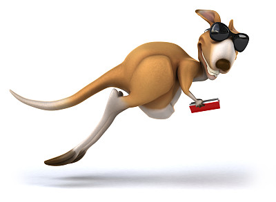 有趣的袋鼠图片下载