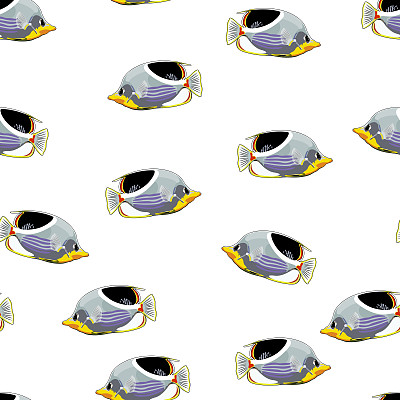 热带鱼无缝图案图片下载