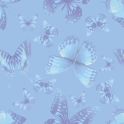 蓝色蝴蝶06图片下载