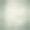 散景背景图片下载