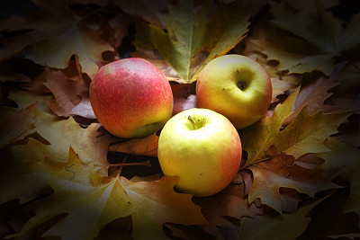 秋静物生苹果图片下载