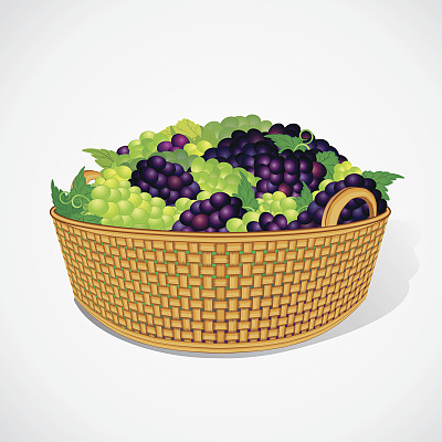 成熟的甜葡萄在编织的篮子里。向量图片下载