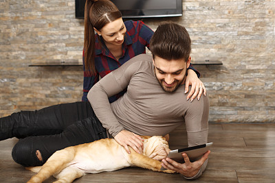 夫妇与小狗通过平板电脑上网图片下载