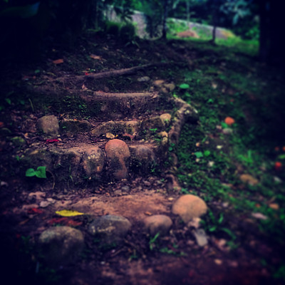 自然的楼梯图片下载